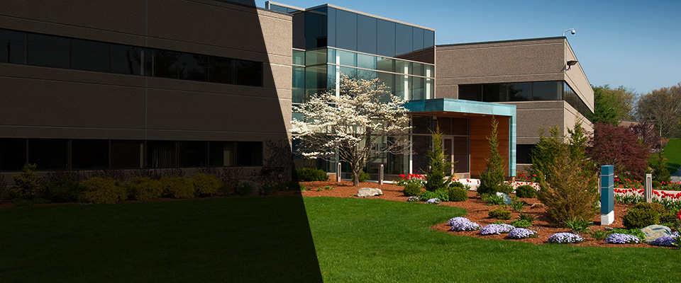 Cape May Court House Landscapers