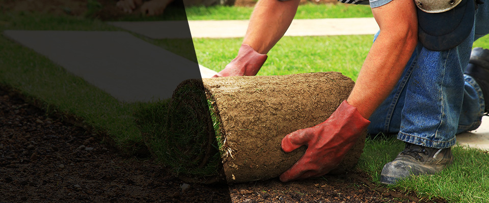 Cape May Court House Landscapers